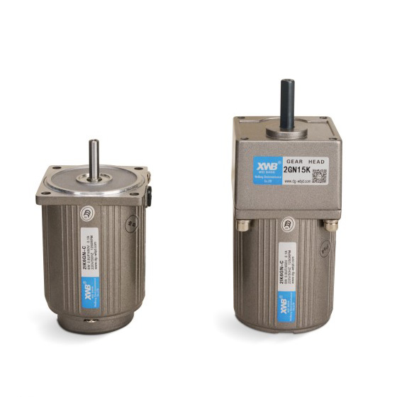 微型交流減速電機(jī)6W