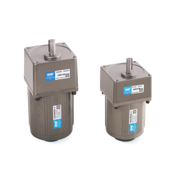 微型交流減速電機40W