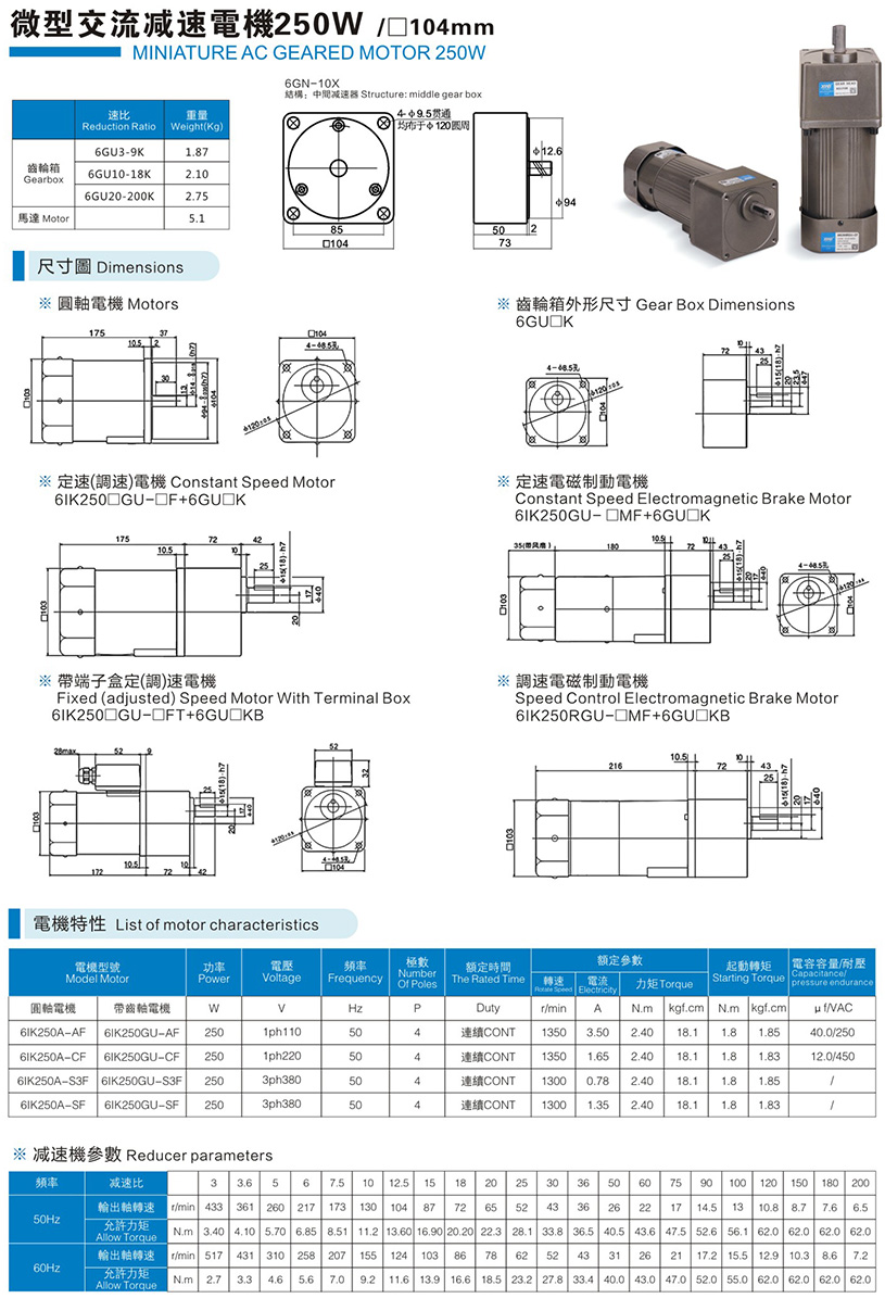 微型交流減速電機(jī)250W