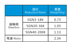 5IK40RGN-CM 40W電機特性表
